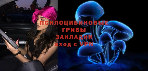 МДПВ Алзамай