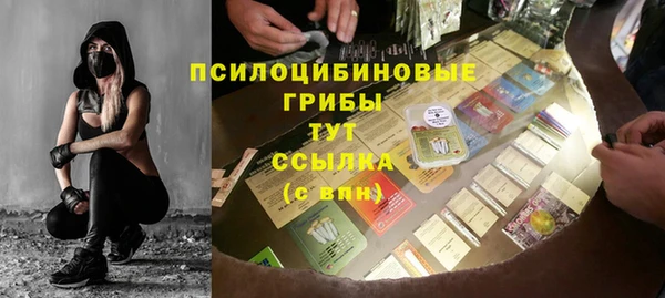 PSILOCYBIN Алексеевка